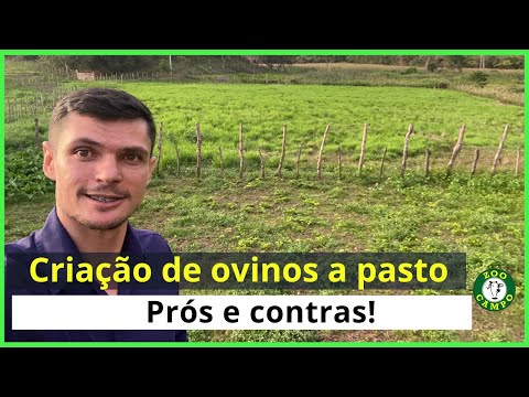 Vídeo: Empréstimo no Post Bank: feedback dos beneficiários