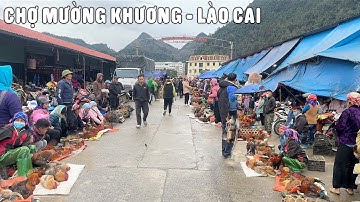 CHỢ PHIÊN MƯỜNG KHƯƠNG - LÀO CAI NHỮNG NGÀY CUỐI NĂM