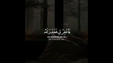 ما تيسر من سورة القصص#القارئ_رعد_الكردي