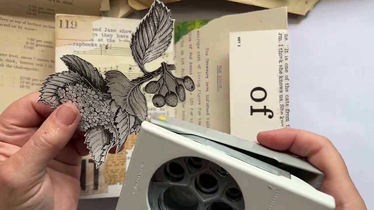 Inside my Altered Ladybird Book