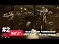 Берлин #2 Museum für Naturkunde Berlin / Лиза Май в МУЗЕЕ ЕСТЕСТВОЗНАНИЯ в БЕРЛИНЕ /  МУЗЕИ БЕРЛИНА