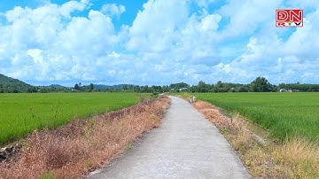 Định Quán đã cơ bản hoàn thành huyện Nông thôn mới nâng cao