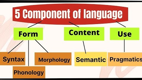 5 components of language | dsssb english preparation