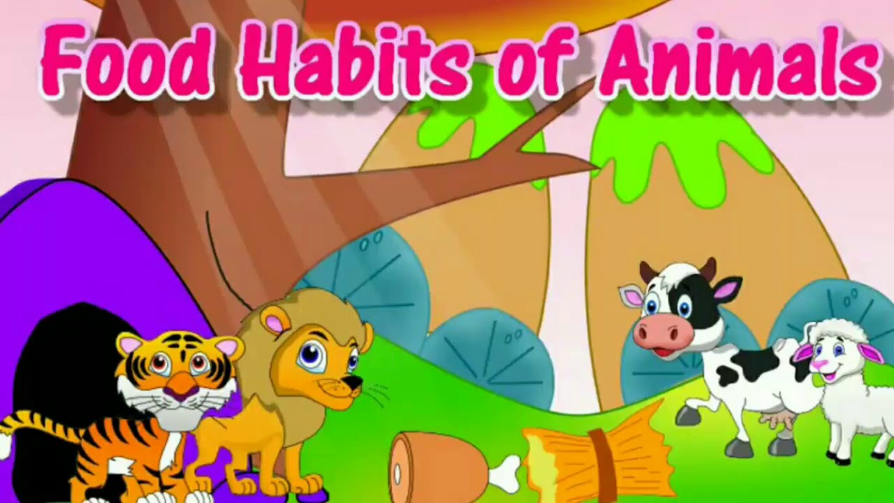 Classification of animals based on their food habits - GRADE 2 CBSE -  YouTube