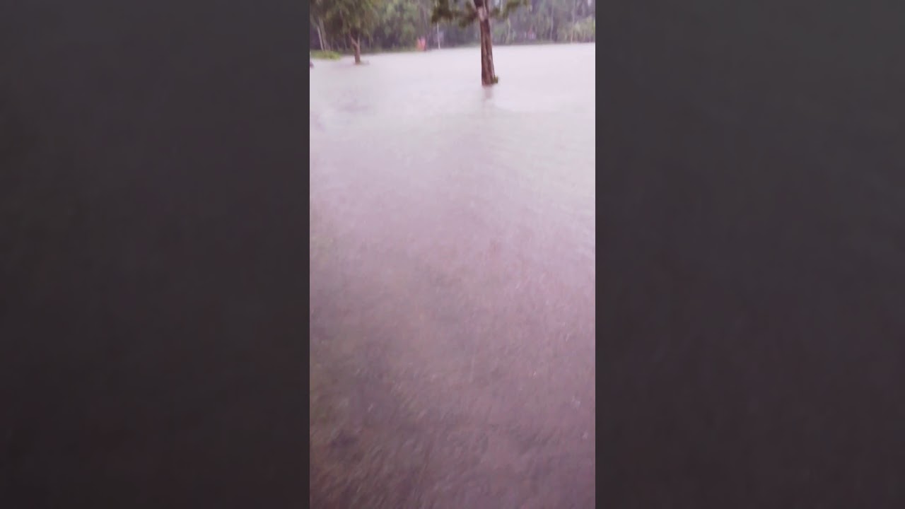 Flood situation live in Assam