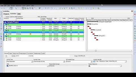HOW TO EXPORT AND IMPORT THE ACTIVITIES UPDATES IN PRIMAVERA P6