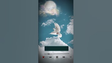 يدبر الأمر من السماء إلى الأرض( القارئ) إسلام صبحي تلاوة خاشعة صوت يريح القلب #fypシ #اسلام_صبحي