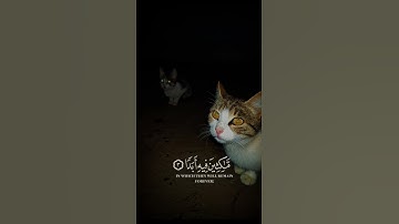 ألقارئ إسلام صبحي سورة الكهف #قرآن #خشوع_القرآن #الحمدلله الذي أنزل على عبده الكتاب ولم يجعل له عوجا