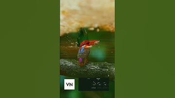 Colour Grading Vn  Editing #editingtutorial #vnediting #vnvideoeditor #vn