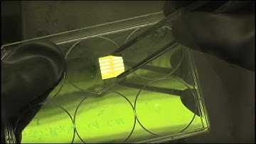 Constructing a perovskite solar cell