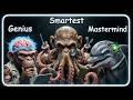 The Smartest Animals Ever Explained in 18 Minutes   YouTube