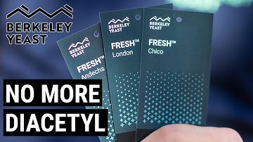 Say Goodbye to Diacetyl with Fresh™ Yeast Strains by Berkeley Yeast