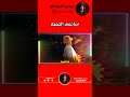 سأحمي الجميع         نجومي