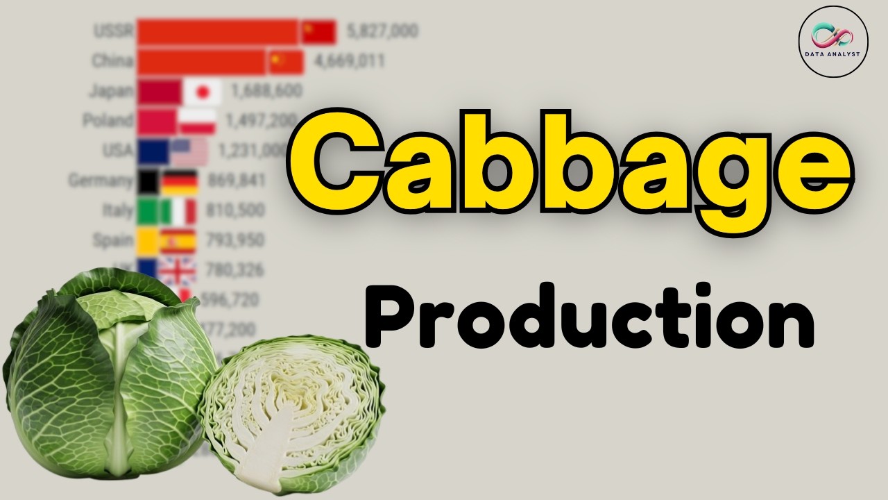 Топ-15 стран мира по производству капусты в период 1961–2025 гг.