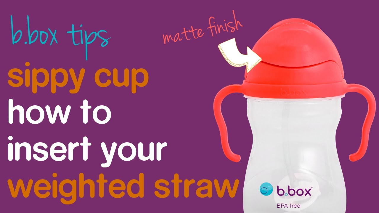 b.box Replacement Straws and Cleaner for Sippy Cup – The Baby Lab Company