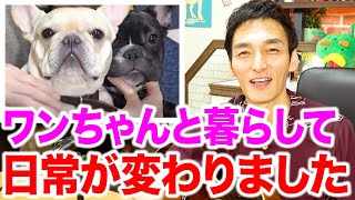1年半ぶり！リスナーからのお便りやクルミ、レオンについて話します！【草彅ラジオ】