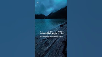 سورة فصلت #اسلام_صبحي #قرآن