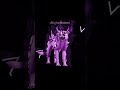 Эдит с моей 2ос| жрЫте на ночь:]|@𝕹𝖆𝖎𝖓𝖆_𝓣𝓱𝓮_𝕮𝖍𝖊𝖊𝖙𝖆𝖍 Теперь мы близняшки:]] #вилдкрафт #wildcraft #edit