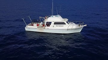 Fisheries Independent Monitoring: Reef Fish Video Survey