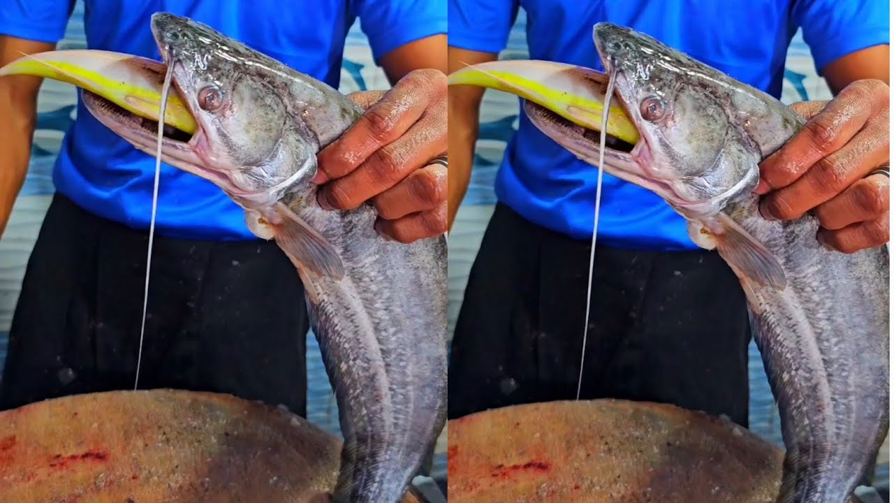 Boal fish cutting skills!! sagar fish hoodi Bangalore - YouTube