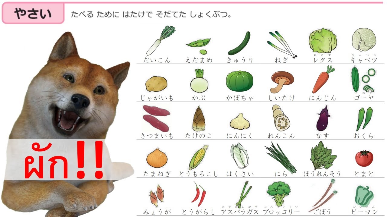 สอนภาษาญี่ปุ่น ในหมวด 野菜 YASAI ผัก ''ちびむすドリル'' | เนื้อหาที่เกี่ยวข้องศัพท์ อาหาร ภาษา ญี่ปุ่นที่สมบูรณ์ที่สุด