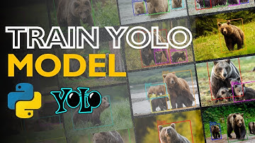 Bear Detection Using YOLOv9 | Train Custom Object Detection Model in Colab