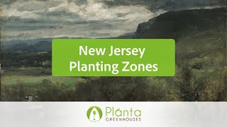 New Jersey Planting Zones – Planta Greenhouses