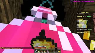 I was the last survivor! (Hypixel VampireZ)