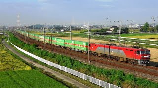 Freight train running in the rice field