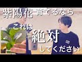 〈必ずしてください〉紫陽花の花数を倍々に増やす方法