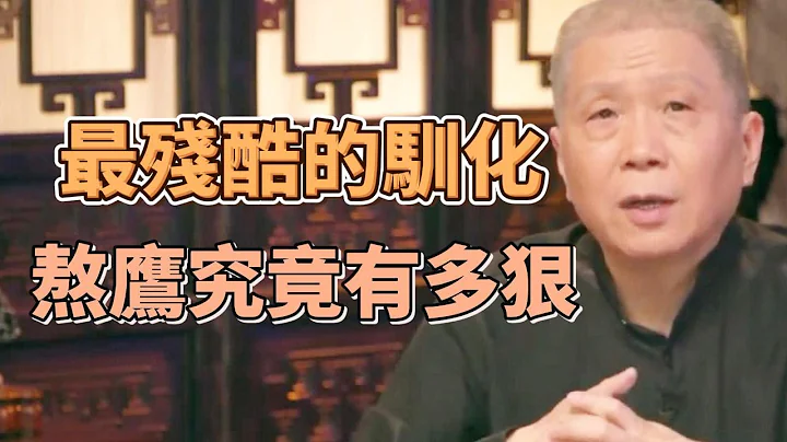 熬鷹究竟有多殘忍？一人一鷹七天七夜不睡覺，到底圖什麼？ #圓桌派#竇文濤#觀復嘟嘟#馬未都 - 天天要聞