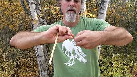 How to Make a Duck from Cattail Leaves