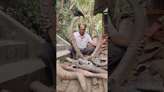 Ivory comb making process #shorts