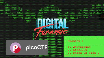 Digital forensic on picoctf Whitepages,  Like1000,  Shark on Wire 2