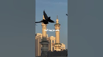 تـلاوة|مـحمـود الـمنـشـاوي|#المنشاوي #تلاوة_خاشعة#تلاوة#قرآن #تلاوة_هادئة #تلاوة_مميزة#islam #quran|