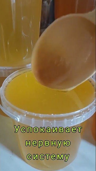 Мед из Акации с нашей пасеки. Польза Акациевого Меда. - YouTube