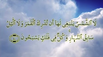 سورة ياسين بصوت القارئ الشيخ رضوان
