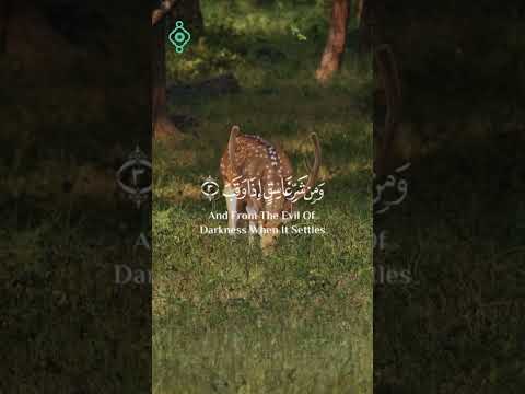 سورة الفلق للحفظ والتحصين 🛡️ بصوت رعد الكردي | تلاوة تريح القلوب 🌙