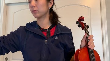 Boil the Cabbage Variations - Beginning Strings - Violin play along