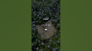 قران كريم ارح قلبك وسمعك #قران_في_دقيقة #احمد_العجمي #quran #قرآن @قران_في_دقيقة