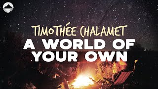 Timothée Chalamet - A World of Your Owns