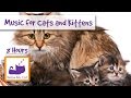 8 hours of relaxing music for cats and kittens