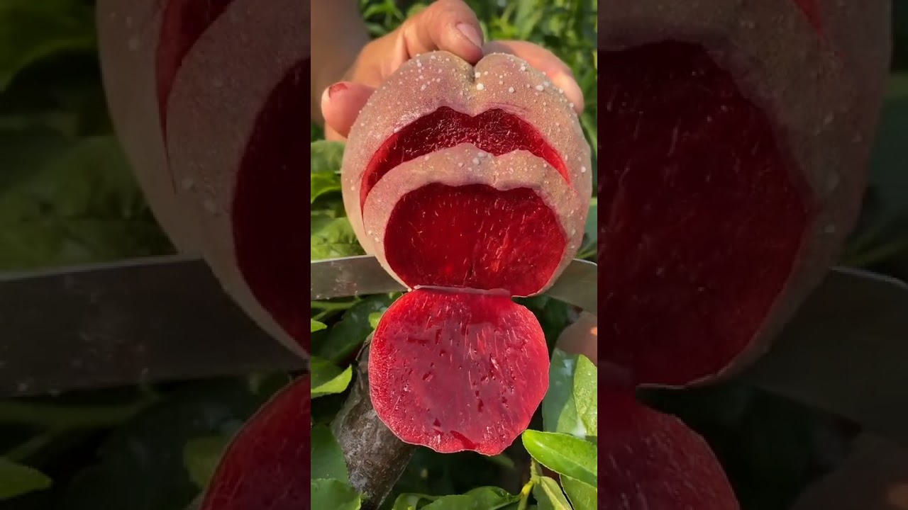 Farm Fresh Ninja Fruit Tik Tok China (Oddly Satisfying Fruit Ninja