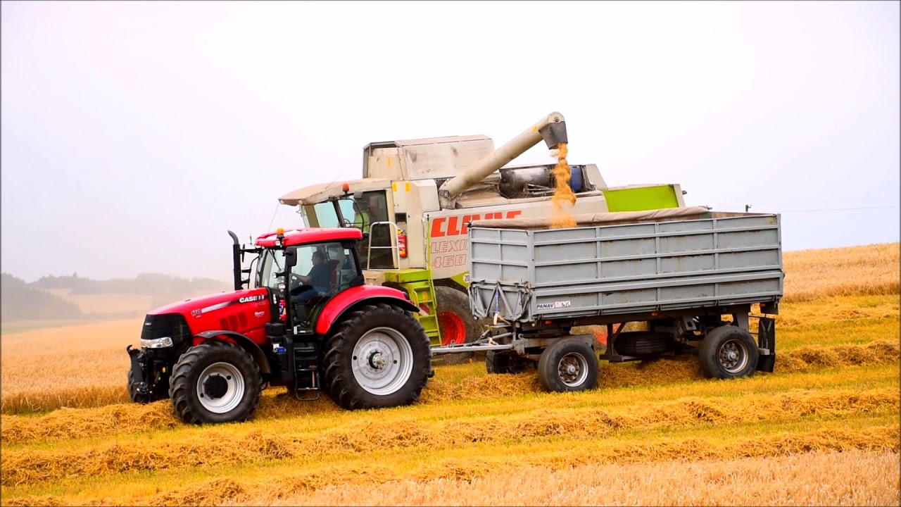 CASE CVX 170 vlek PANAV žně 2017