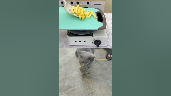 🍳 Discover Puff's latest kitchen hack that will blow your mind! #PuffTheChef #thatlittlepuff