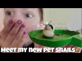 unboxing my pet snails🐌🍄