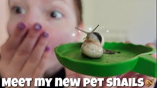 unboxing my pet snails