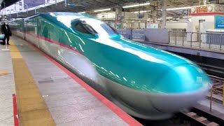 【4K】東北新幹線東京駅・E5系臨時なすの401号郡山行到着　2022-03-23