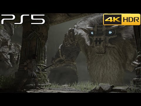 Shadow of the Colossus Remake on PS5 in performance mode is one of the best  looking games I've ever played