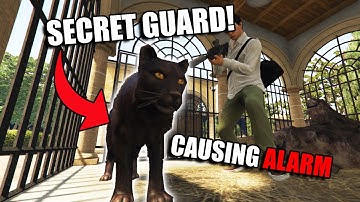 Weird Facts: Mr Rubio